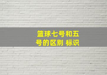 篮球七号和五号的区别 标识